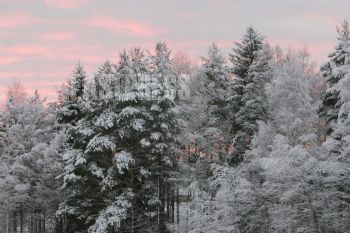 EA035555, Eastpress, Joutsa, Suomi